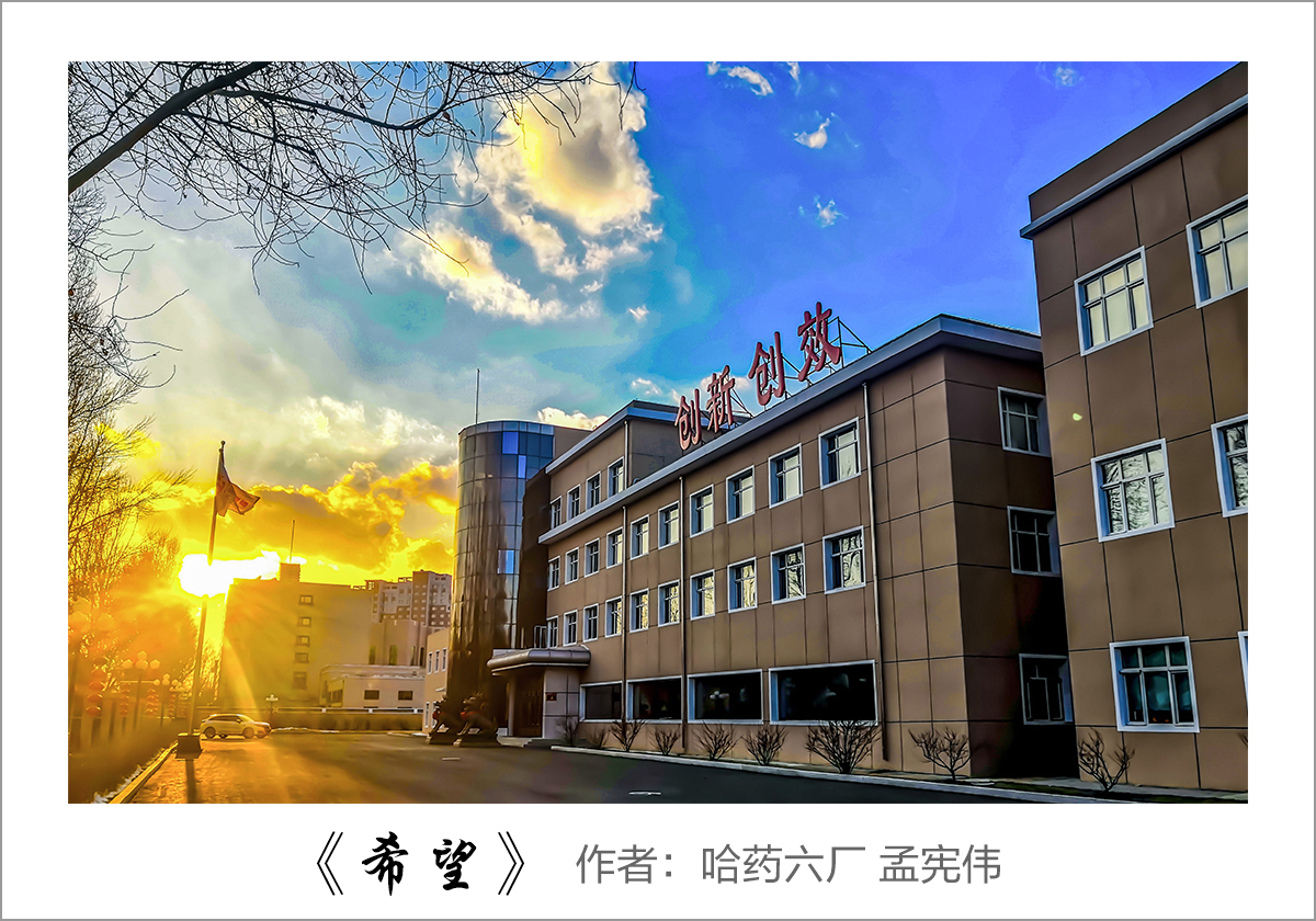 【迎国庆 展风采】我眼中的庄闲游戏——职工摄影大赛作品展示！