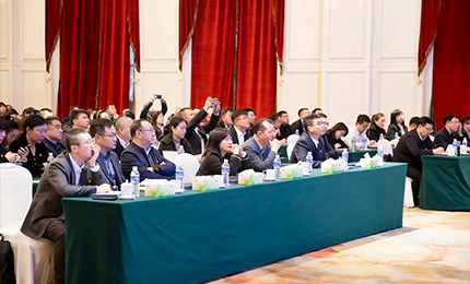 庄闲游戏集团党委“书记带项目”工作阶段性进展汇报会成功召开
